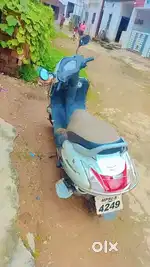 Arjent sell
