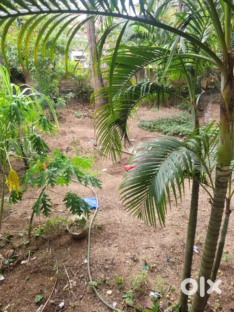 Commercial plot for sale