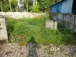 4 Cent Land for sale in Koonammavu  @ 7 Lakhs/c