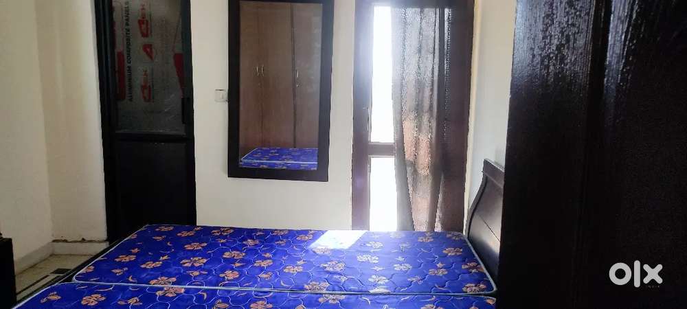 Need a female flatmate