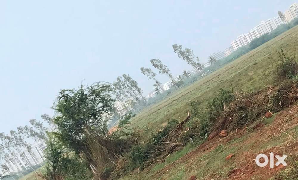 Open plot 5 cents for sale on the Valivartipadu main road.