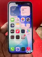 I phone 13 / 256