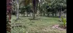 3.5 acres land for sale ammandivilai near