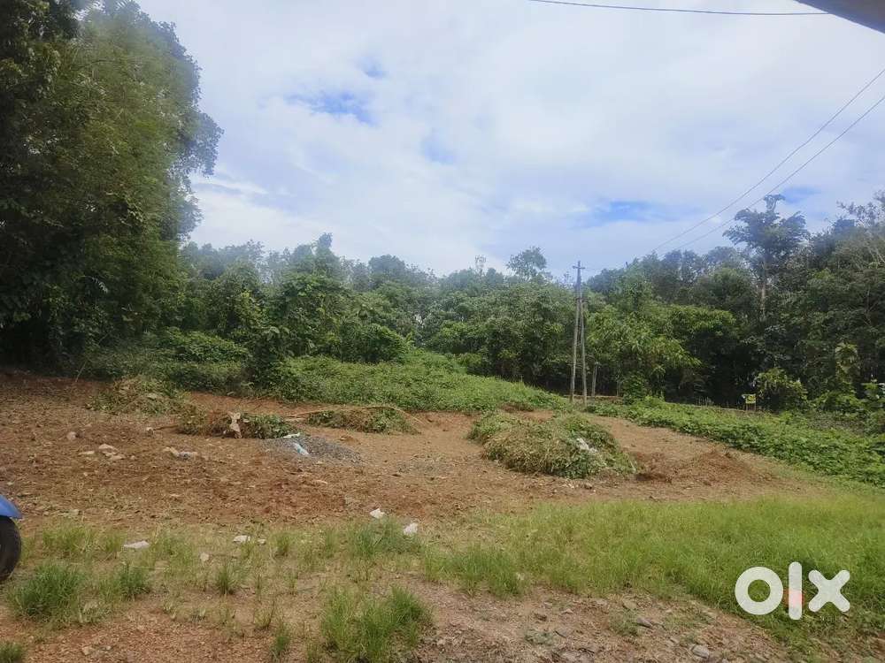 Kumbanad 7 cent square plot for sale