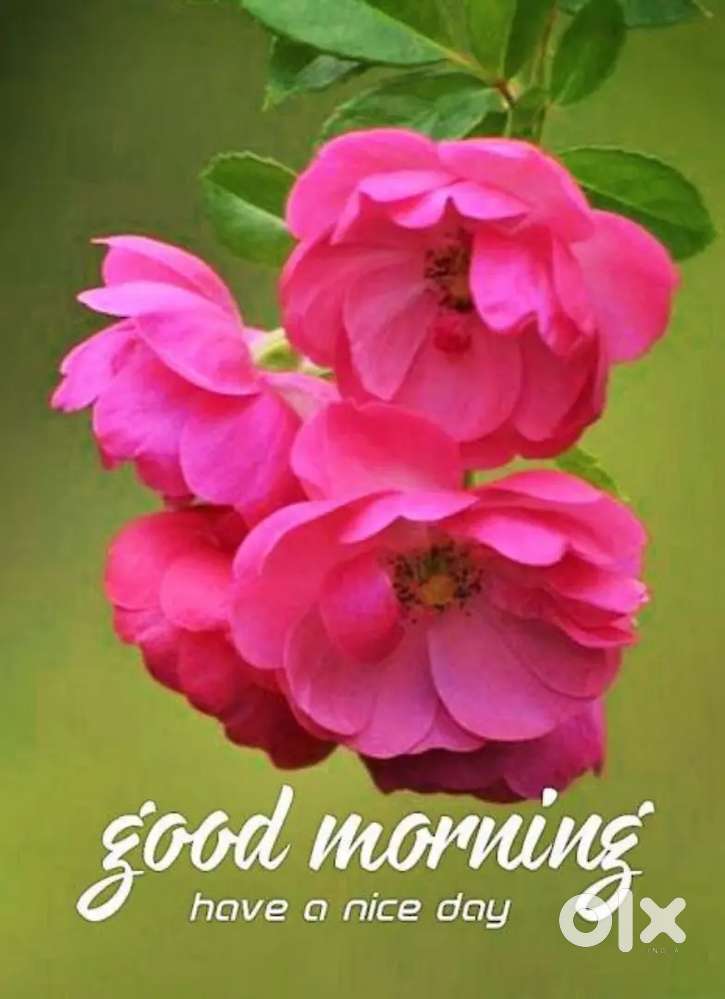 Die Fitter and Helpers