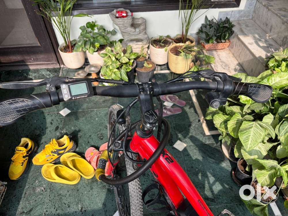 Electric bicycle  eMotorad