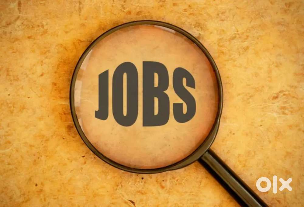 Data entry operator Documents verification