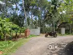 1 kmKundamankadavu to Peyadu Main road 65 Cent land 4.5 lakhs Cent