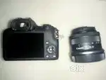 CANON R100