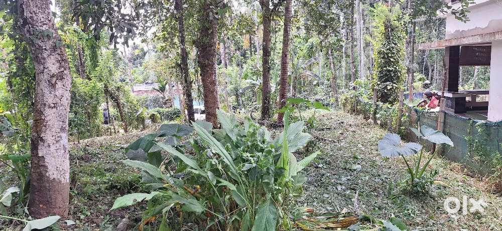 50 cent plot sale or exchange to home and other buildings