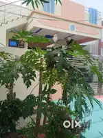 2 BHK Independent House for Rent at 3rd Mile