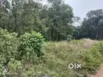 HOUSE PLOT FOR SALE
