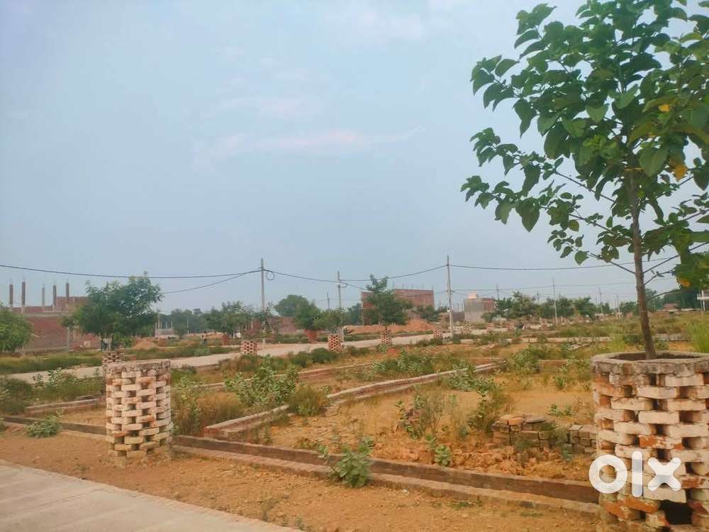दिवाली धमाका ऑफर रजिस्ट्री फ्री