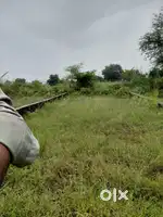 Plot selll