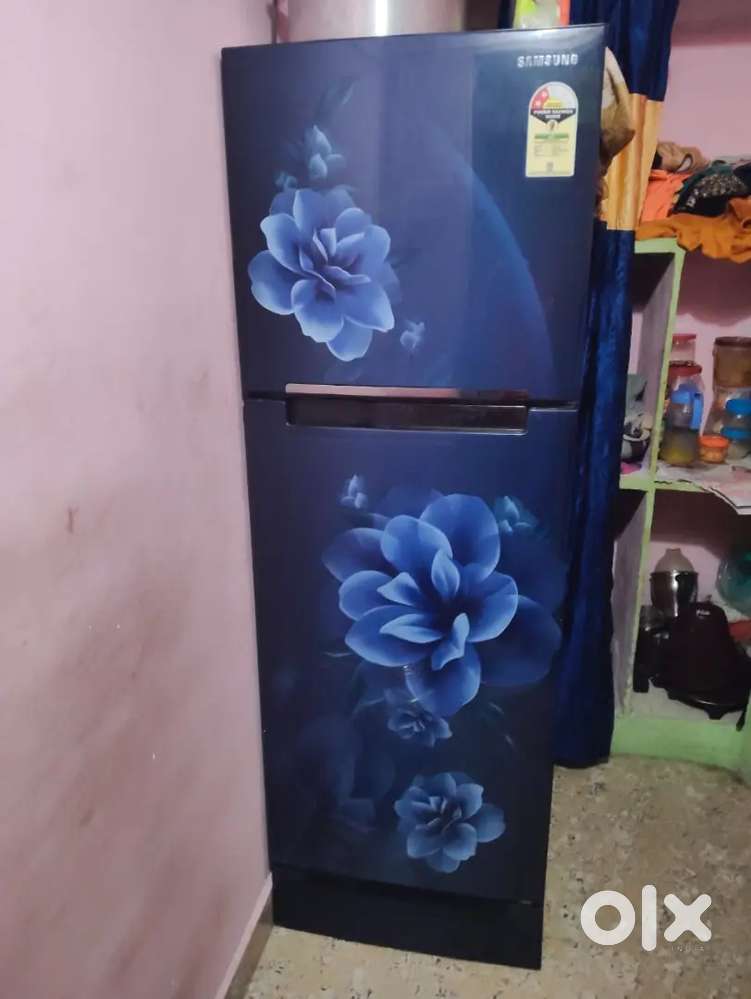 Fridge double door
