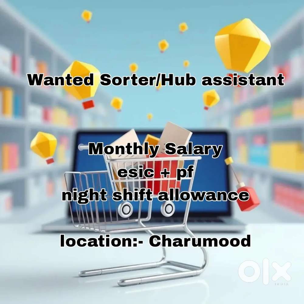 Wanted Sorter/ Hub assistant
