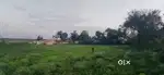 We are selling  4 acres land