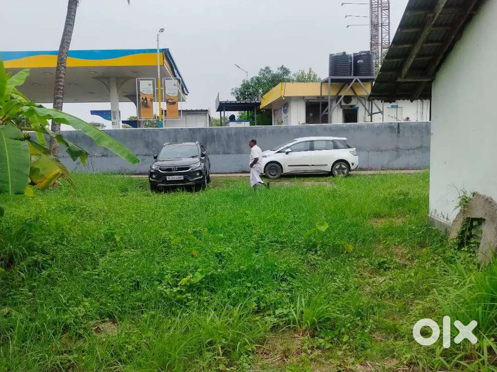 A plot at bolgatty island