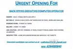 Opening for back office executive/ computer operator male / female