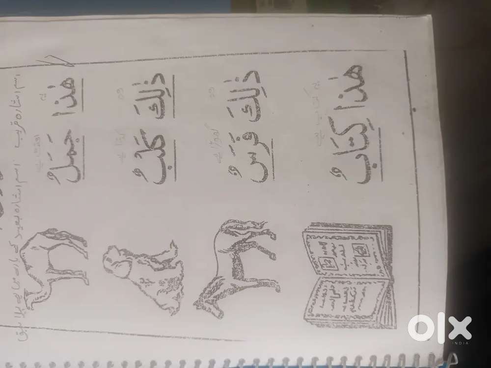 Urdu and Arabic grammar