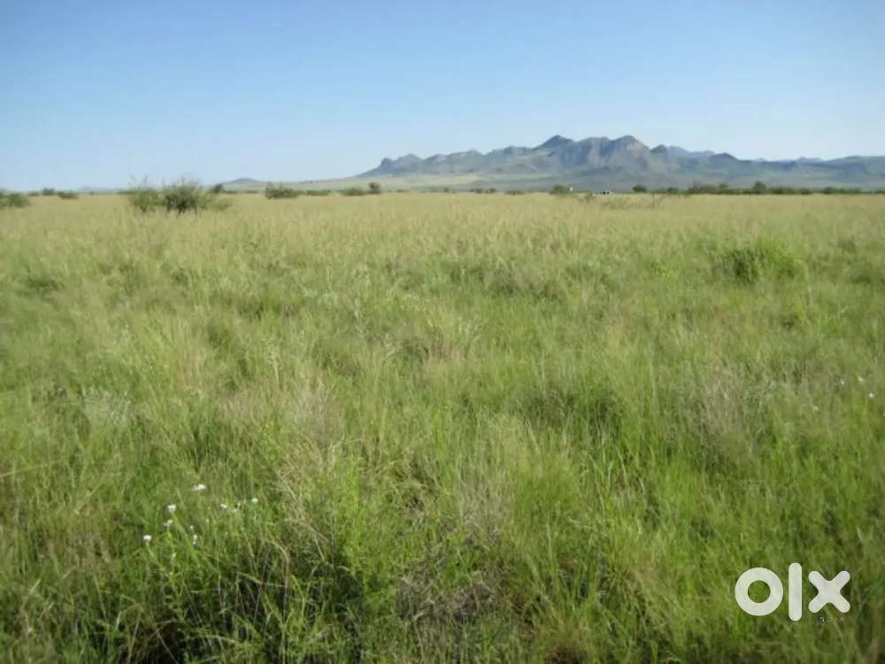 4.5 Decimal land for sale near Jamadarpali