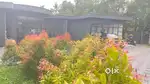 mobile videographer