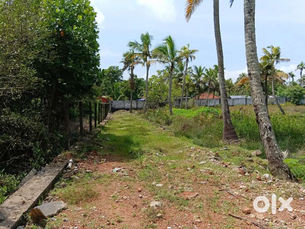 75 CENT PROJECT LAND FOR SALE EROOR THRIPUNITHURA