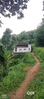 Residential Plot For Sale in Koodal, House Plot For Sale in Udiyamkode