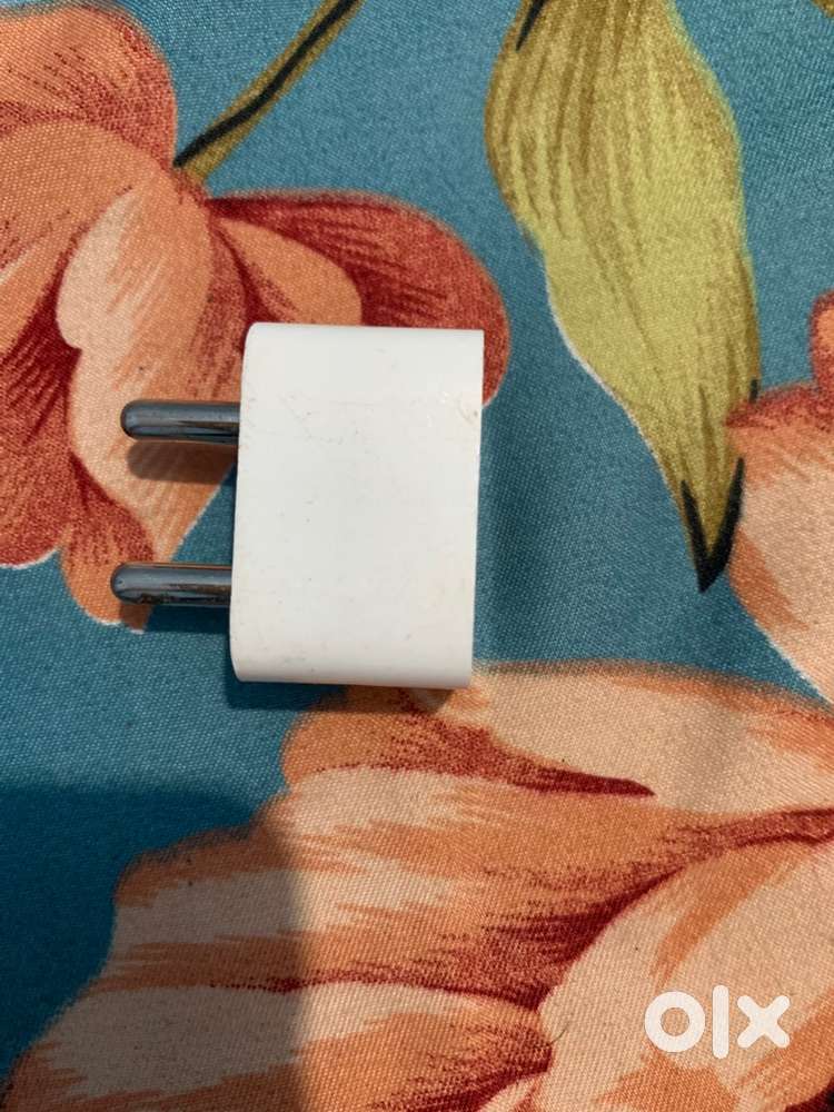 iphone charger and earphone