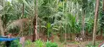 56 cent plot,anjarakandy,mundametta