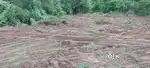 Land for Farm