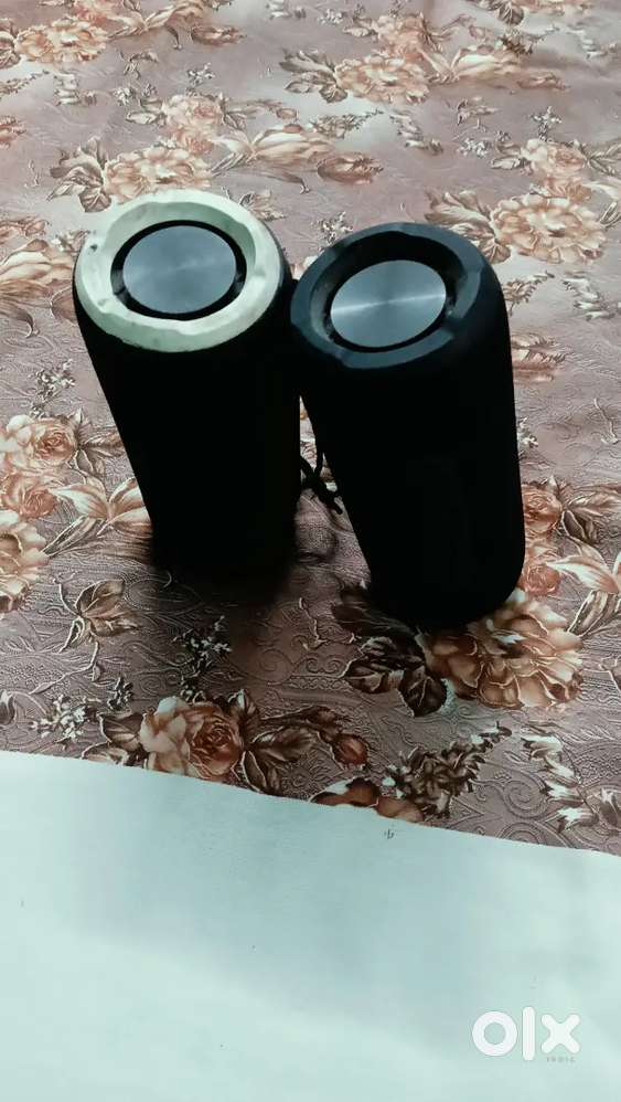kuldeep dangwal: Flix (Beetel) Tripper 31 W Bluetooth Speaker