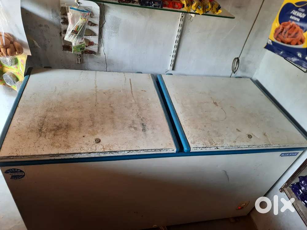 BLUE STAR DEEP FREEZER