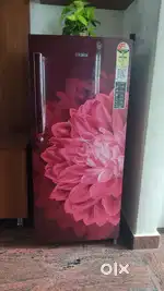 Haier 190L 3 Star 2024 Model Direct Cool Single Door Refrigerator