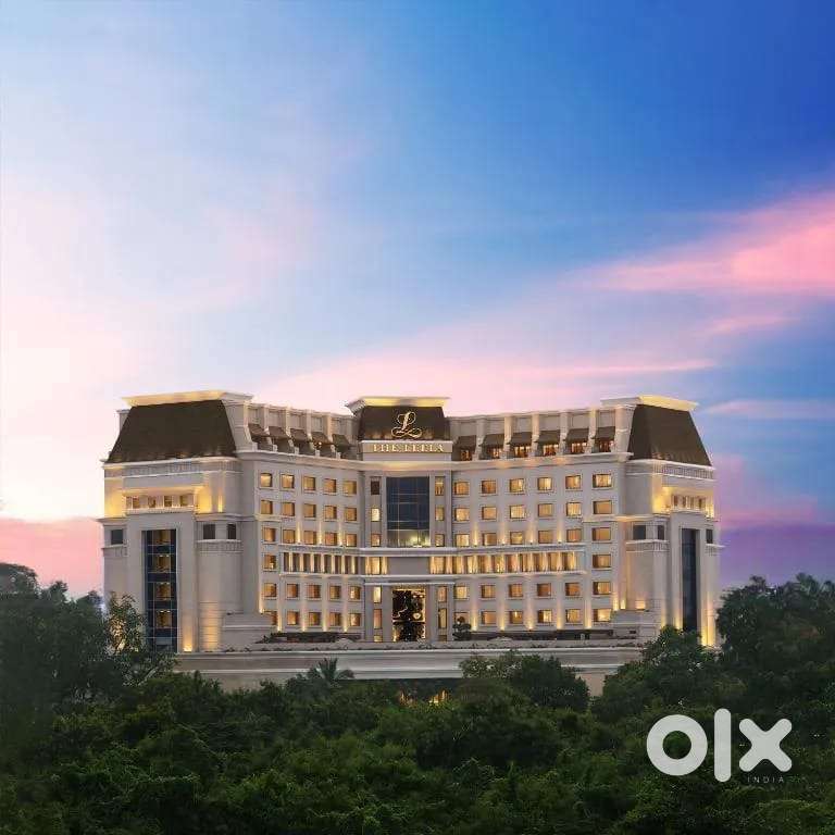 Waiter Assistant (Traning & Housing Provided)