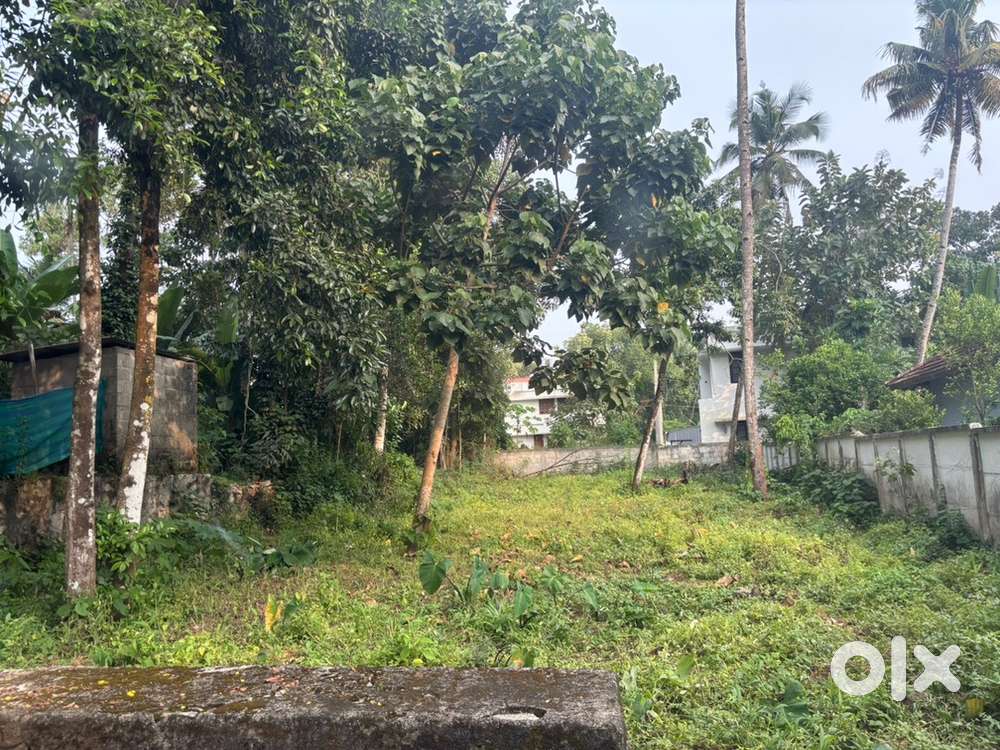 10 cent rectangular plot apt for house