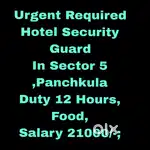 Hotel Security Guard Job Sector 5,Panchkula
