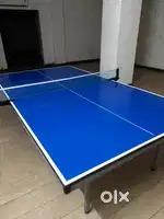 Table Tennis Table - Competition Variant