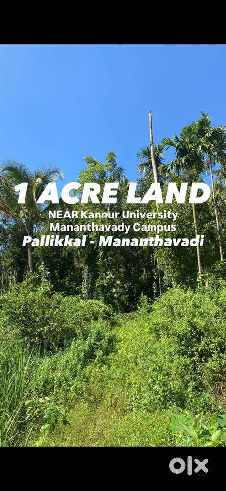 Located near to Kannur University Mananthavady campus