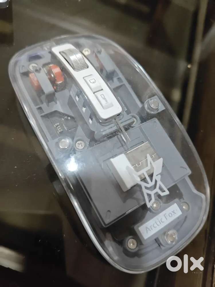Artic Fox Mouse