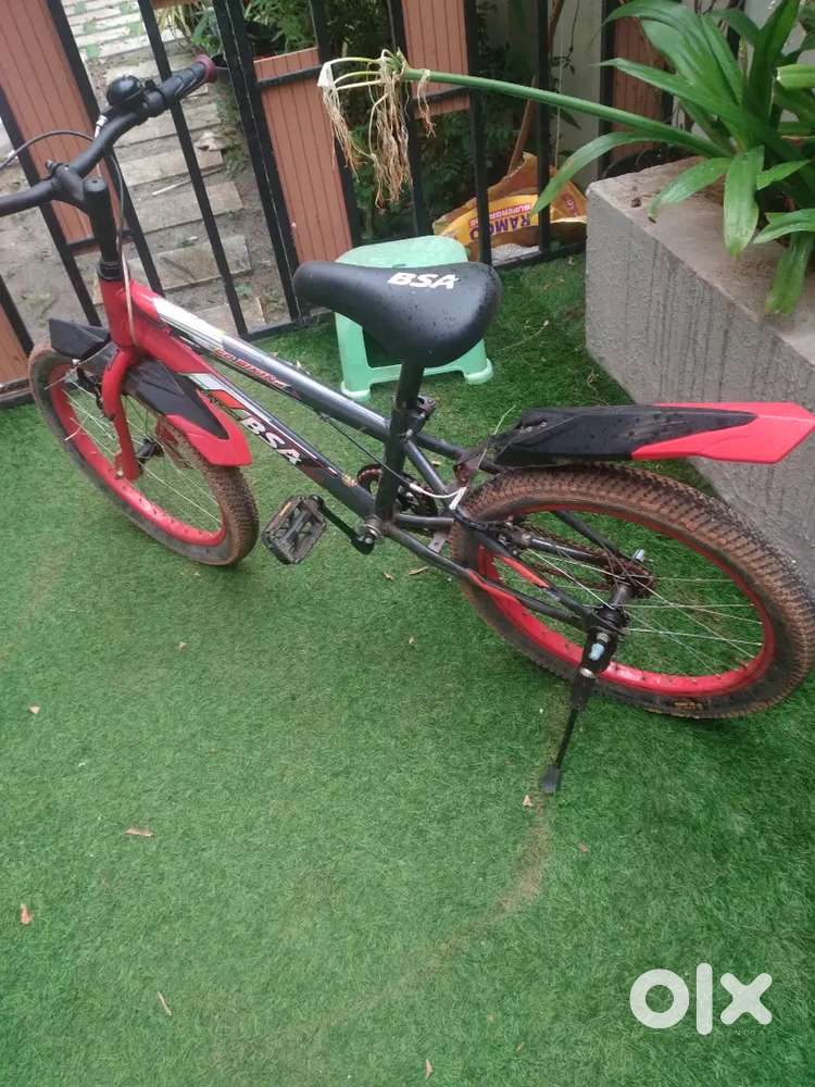 BSA 1year old with bill