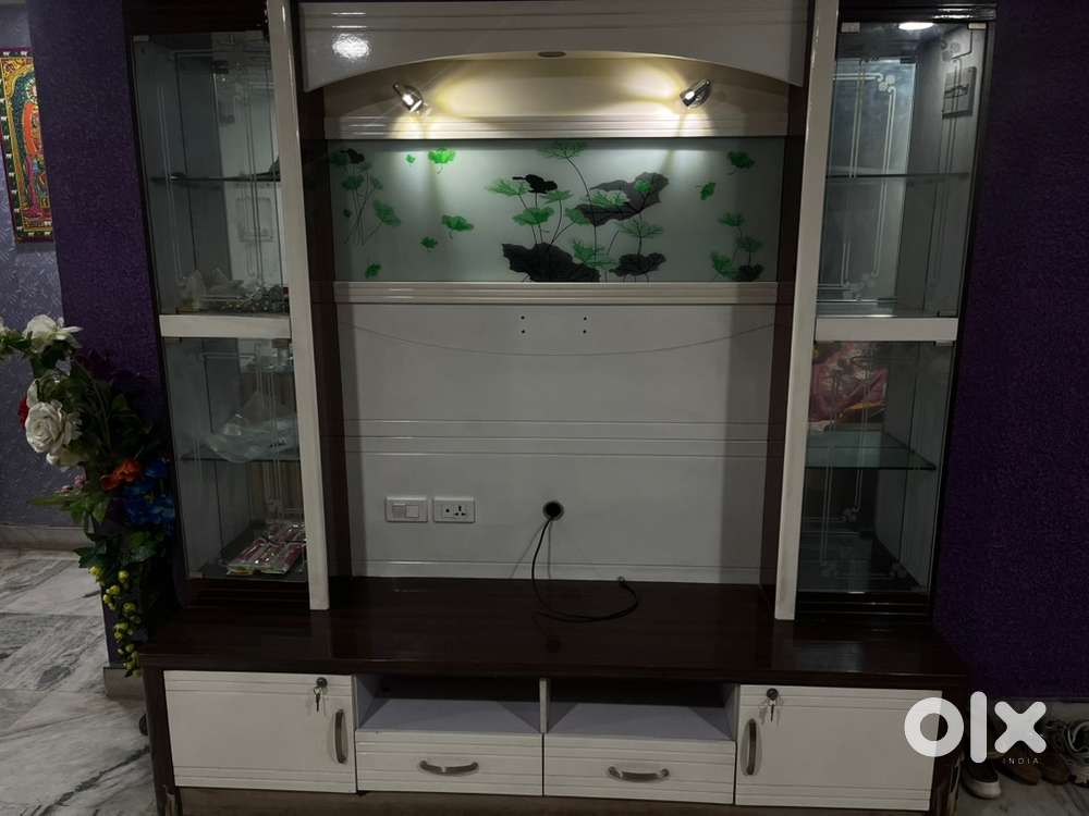 Showcase and tv unit