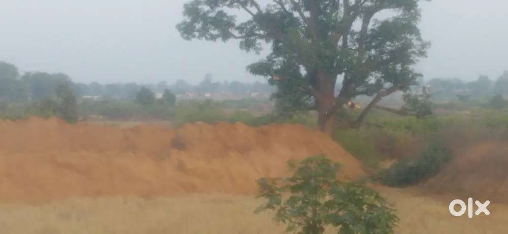 Business Partner Required – Desi Murga & Fish Farming Project