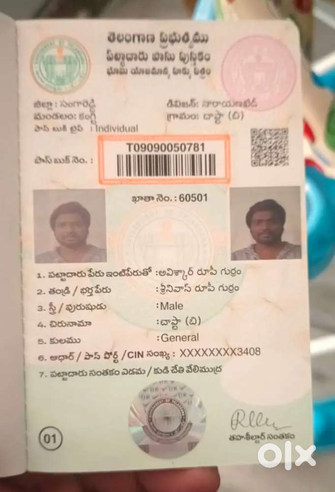 Farm land 303sqrds Narayankhed