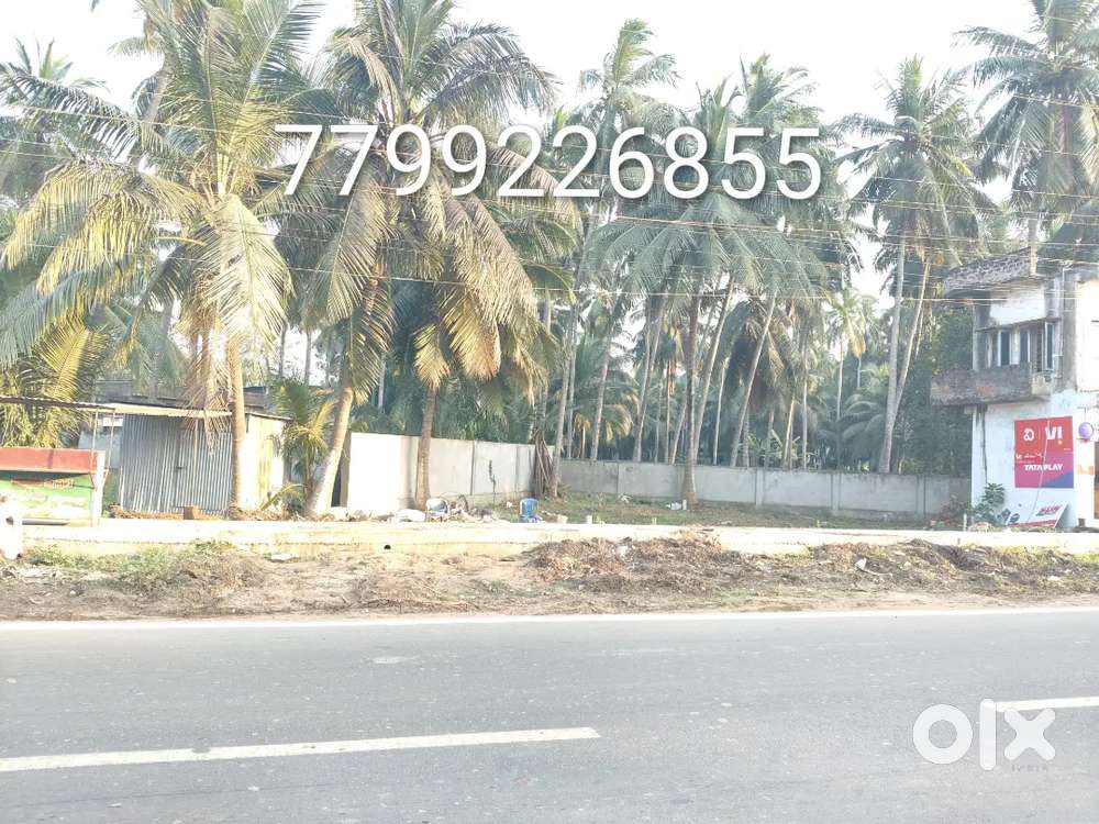Nh-216 main road pasarlapudi junction 4 cents