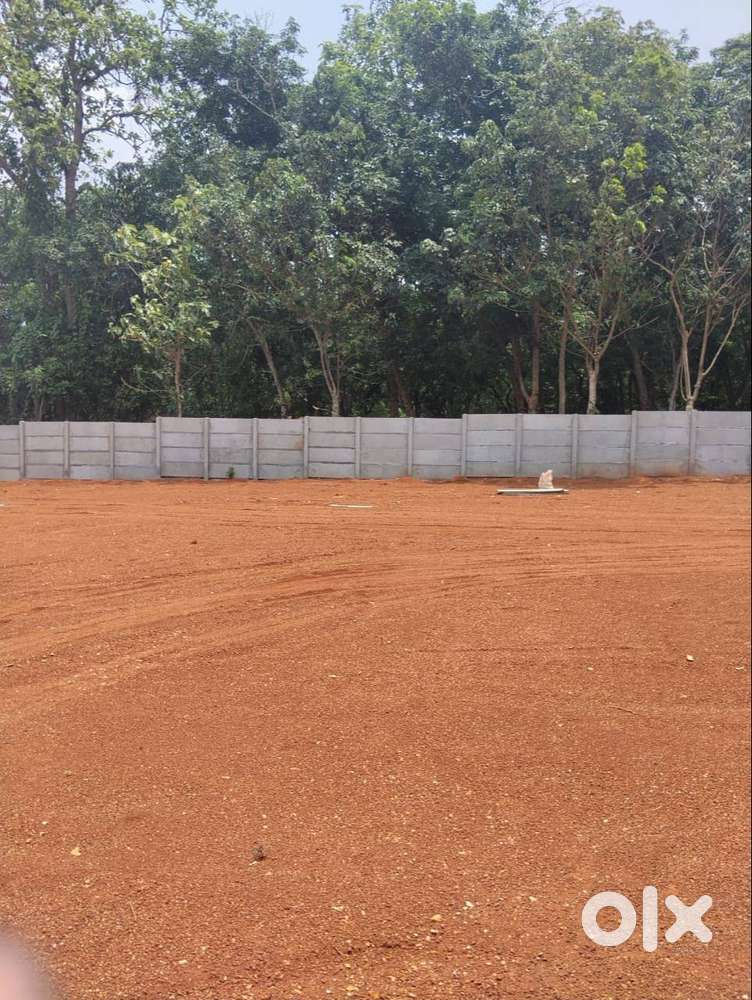 പാലക്കാട് TOWN അടുത്തായി PLOT വില്പനയ്ക്