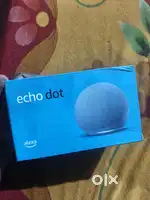 Alexa Echo Dot + smart speaker