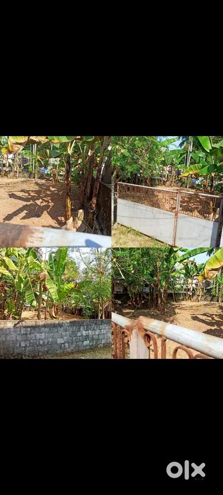 4.160 CENT RESIDENTIAL PLOT SALE CHANGAMPUZHA NAGAR KALAMASSERY EDAPPA