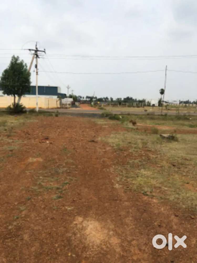 Palayankottai takkamal puram, Asok nagar.