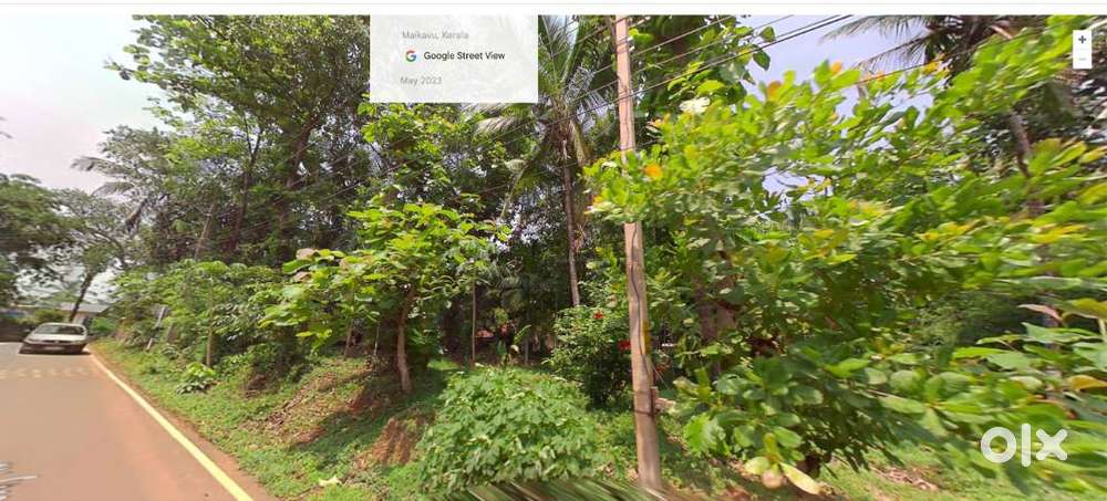 10 Cent Roadside Plot for Sale – Ideal for Commercial or Residential